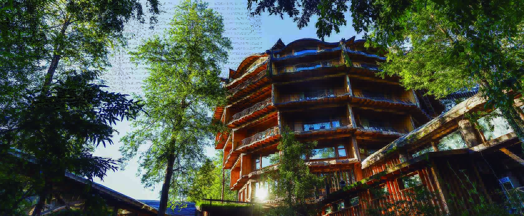 Hotel-Nothofagus